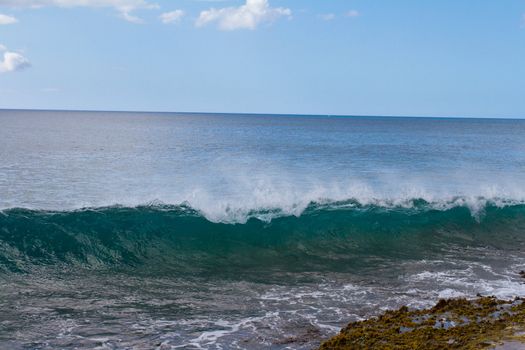 These almost completely clear waves are swelling and breaking onto some rocks on Oahu Hawaii. These waves are interesting and different than most.