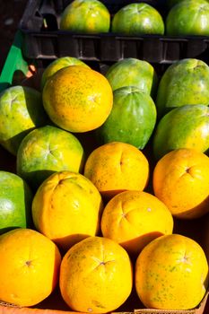 Images from a farmers market in Hawaii showing tropical fruits or vegetables in simple photos with vibrant colors.