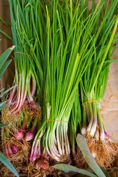 Images from a farmers market in Hawaii showing tropical fruits or vegetables in simple photos with vibrant colors.