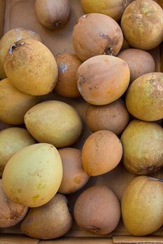 Images from a farmers market in Hawaii showing tropical fruits or vegetables in simple photos with vibrant colors.