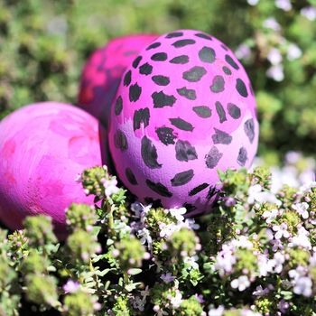 Row of Easter Eggs with Daisy on Fresh Green Grass 