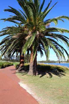 Bicycle path in Perth, Australia