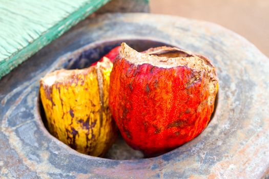 Red and yellow cacao pods have their husks and nibs removed at a chocolate factory in Hawaii.