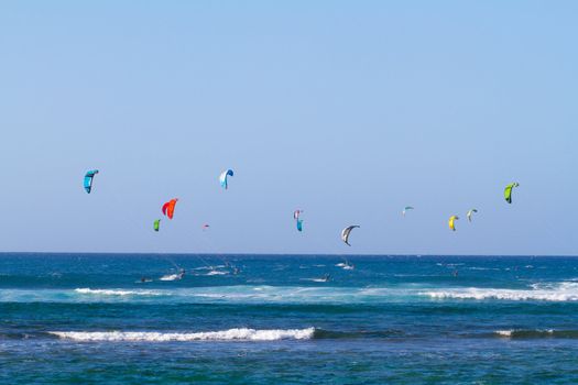 A bunch of people are kite surfing on the north shore of Oahu in Hawaii. This shot shows the man kites in the air with people on surfboards among the ocean waves.