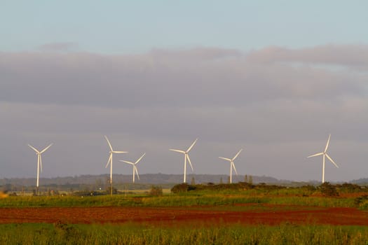 A wind farm on the tropical island of Oahu in Hawaii has multiple wind turbines (or windmills) that turn the natural resource into electricity in an environmental friendly geen way.