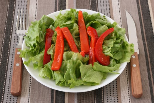 vegetable salad on the white plate