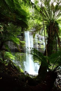 Gorgeous Russel Falls splash down in the Mt Field National Park, Tasmania, Australia. 