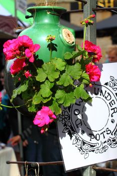 Fresh flowers on Salamanca Market , Tasmania, Australia. 