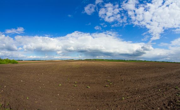 spring plowed field