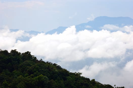 Mist on the mountains in rainforest, Thailand.