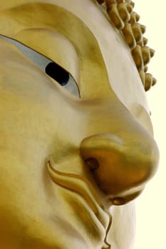 Face big Buddha statue isolated be white background.