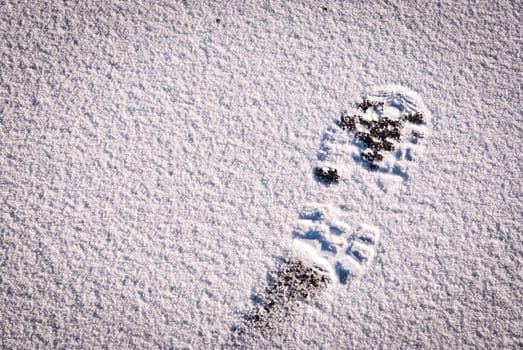 Snow foot print background taken on a winter morning with fresh snow
