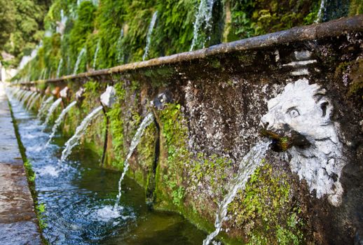 Detail of the luxury Villa d'Este in Tivoli, close to Rome - Italy