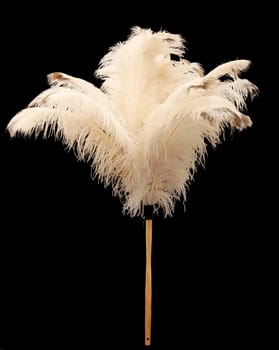 Feather duster made from real ostrich feathers - isolated on black background