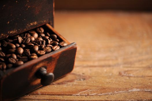 closeup of coffee beans, shallow dof 
