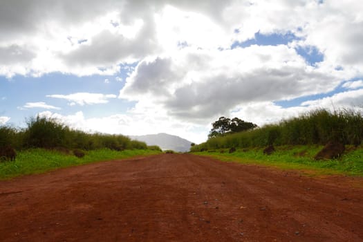 A red dirt lava rock clay road stretches out for quite some distance leading to the birthing stones on the north shore of Oahu in Hawaii. There are clouds and blue sky as well as some green grass in this horizontal image.