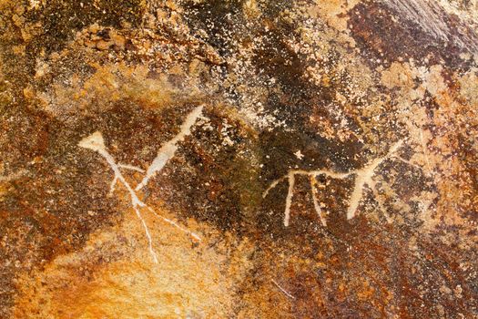 These tribal hieroglyphic drawings on stone in Hawaii near the birthing stones of Oahu are from centuries old natives.