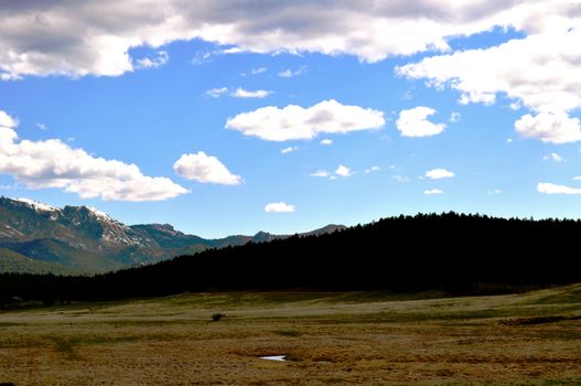 Black hills background