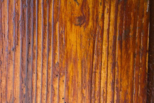 These vertical stripes are typical of this type of tropical wood on the island of Hawaii. This image is a nature detail background texture image for design purposes.