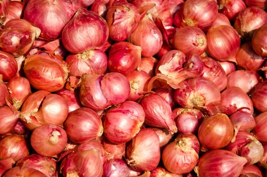 shallot is ingredient of thai food and catchup