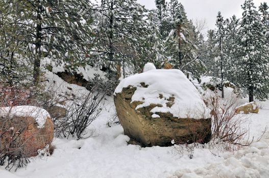 Snow covers the rocks and trees of the forest on Mount San Jacinto in Southern California.