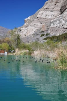 This scenic duck pond is located in Whitewater Canyon near the town of Palm Springs, California.