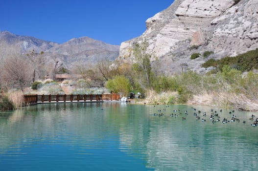 This large pond is a refreshing oasis in Whitewater Canyon near the desert town of Palm Springs, California.