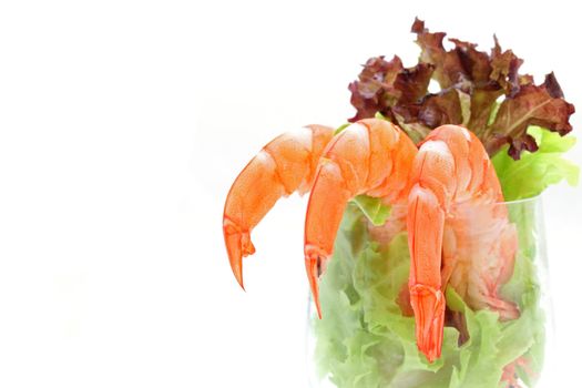 Shrimp cocktail in a martini glass with lettuce