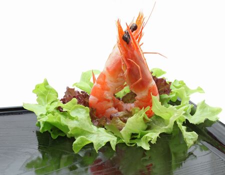 Shrimp cocktail salad on dish