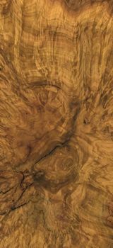 full frame burl wood grain detail