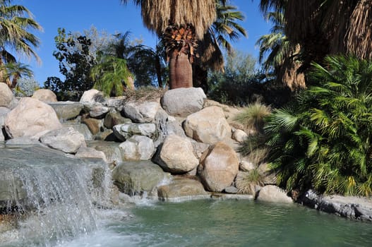 Palm trees surround a small waterfall and pond at a city park in Palm Desert, California.
