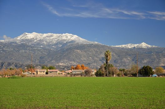 A green field frames this view of snow-capped Mount San Jacinto in Southern California.