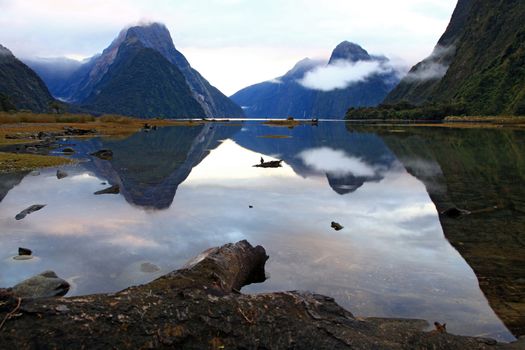 landscape of high mountain glacier at milford sound, New Zealand