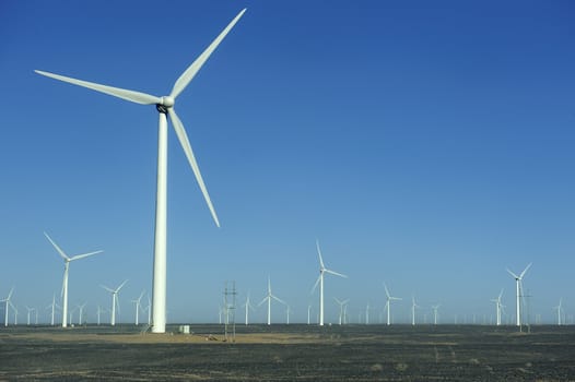new energy source of wind power windmills in the wide Gobi Desert