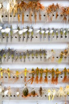 A fly fishing box of flies contains dry flies including caddis, bwo, adams, stone, and more in this abstract color image detail for the recreational pursuit.
