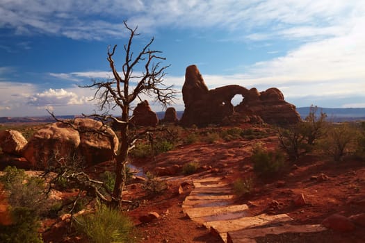 Desert after the Storm, Arches National Park, Utah, USA      