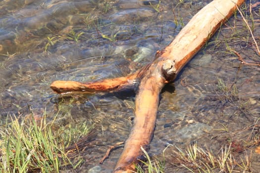 Flowing river in the spring with a blue sky anclear water