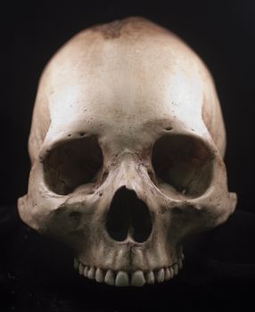 Human skull studio shot with a black background.