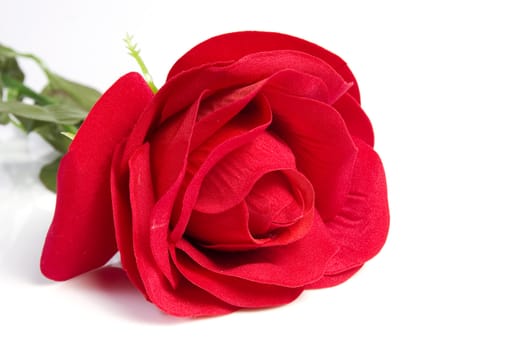 Close up fabric red rose flower on isolated white