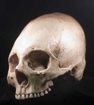Human skull studio shot with a black background.