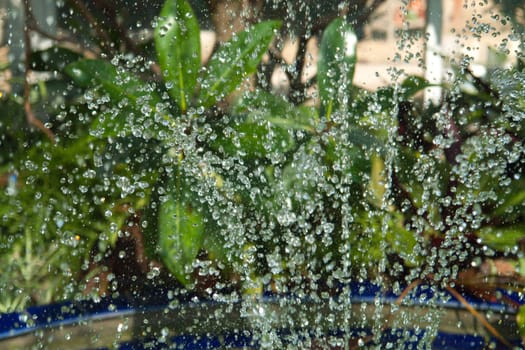 Closeup view of a garden fountain with mant water drops