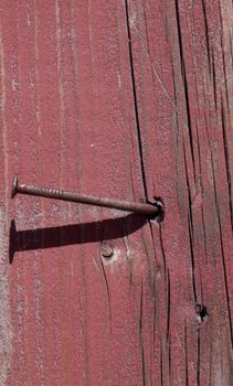 High resolution natural distressed wood. great for backgrounds 