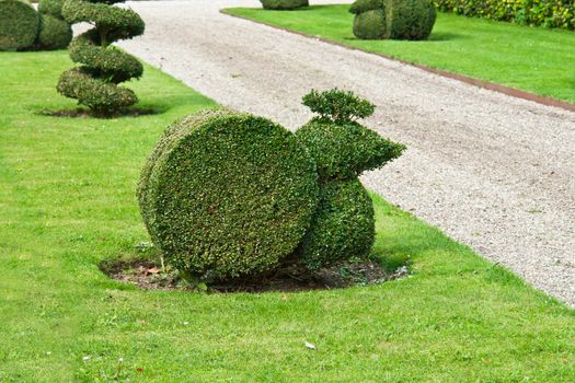 Decorative cut trimmed green bushes in a garden park