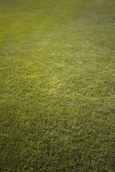 Golf course with green grass and clear blue skies.