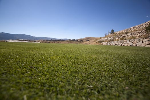 Golf course with green grass and clear blue skies.