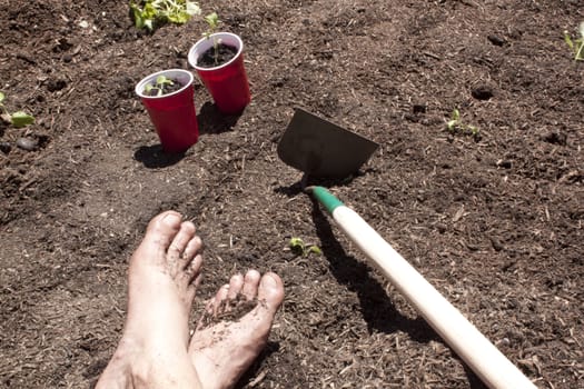 Gardening with feet in the dirt. seedlings and toosl in the shot too