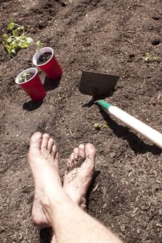 Gardening with feet in the dirt. seedlings and toosl in the shot too