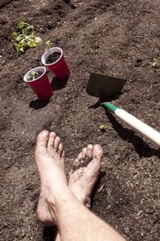 Gardening with feet in the dirt. seedlings and toosl in the shot too