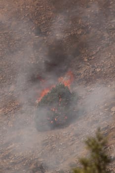 Desert fire with burning bushes and brush