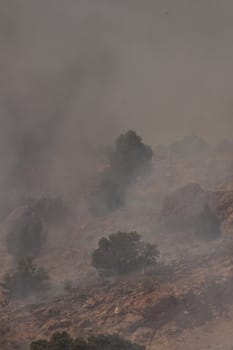 Desert fire with burning bushes and brush